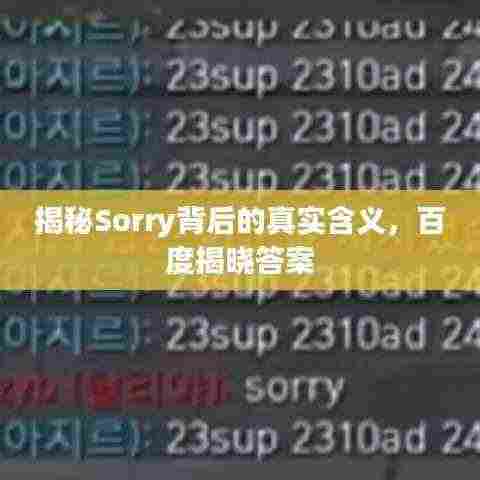揭秘Sorry背后的真实含义,百度揭晓答案
