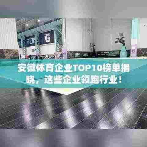 安徽体育企业TOP10榜单揭晓,这些企业领跑行业!