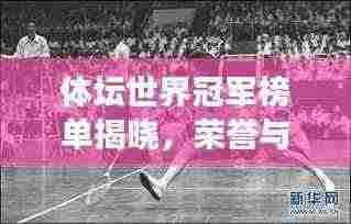 体坛世界冠军榜单揭晓,荣誉与实力的至高见证!