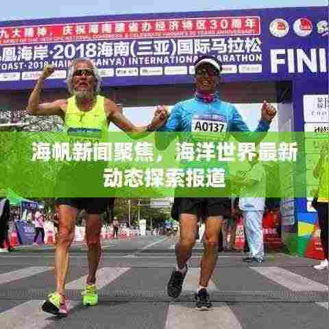 海帆新闻聚焦,海洋世界最新动态探索报道