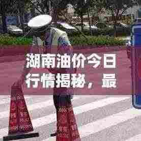 湖南油价今日行情揭秘,最新动态与调整讯息!