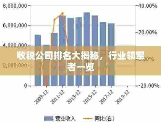 收税公司排名大揭秘,行业领军者一览