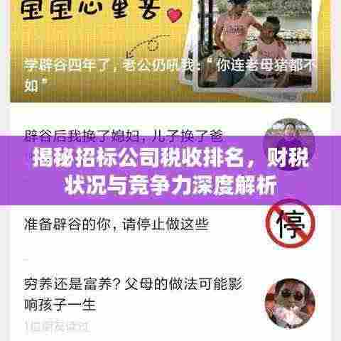 揭秘招标公司税收排名,财税状况与竞争力深度解析