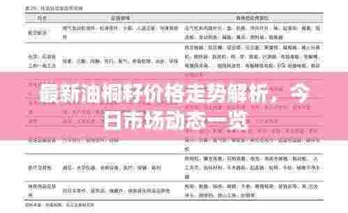 最新油桐籽价格走势解析,今日市场动态一览