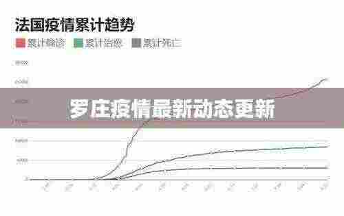 罗庄疫情最新动态更新