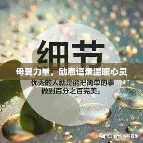 母爱力量，励志语录温暖心灵