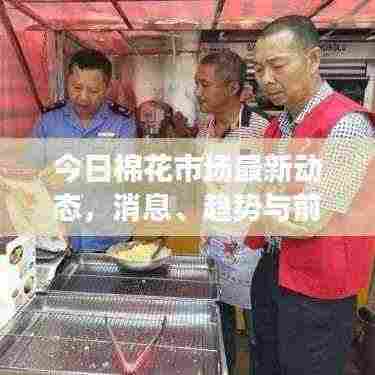 今日棉花市场最新动态,消息、趋势与前景展望