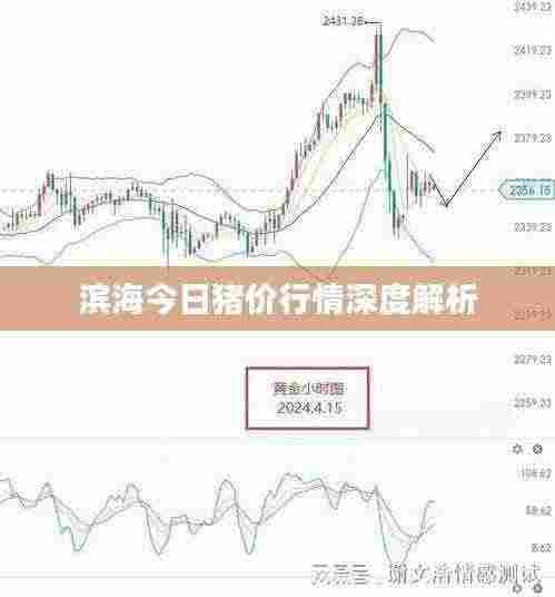 滨海今日猪价行情深度解析