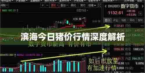 滨海今日猪价行情深度解析