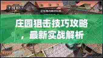 庄园狙击技巧攻略,最新实战解析