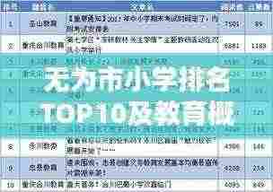 无为市小学排名TOP10及教育概览