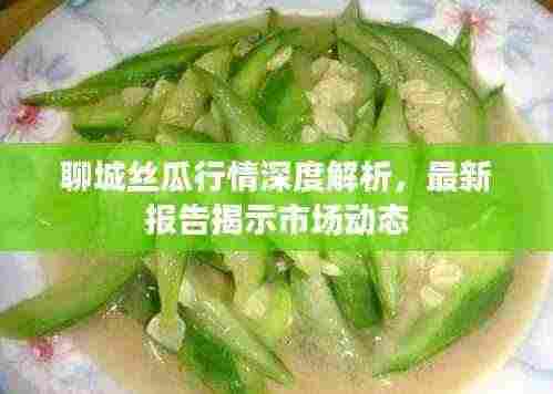聊城丝瓜行情深度解析,最新报告揭示市场动态