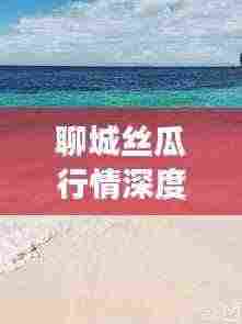 聊城丝瓜行情深度解析,最新报告揭示市场动态