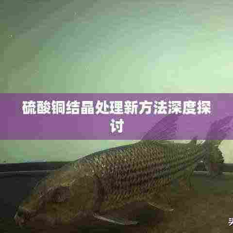 硫酸铜结晶处理新方法深度探讨