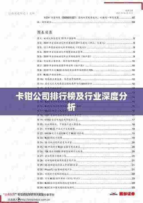 卡钳公司排行榜及行业深度分析