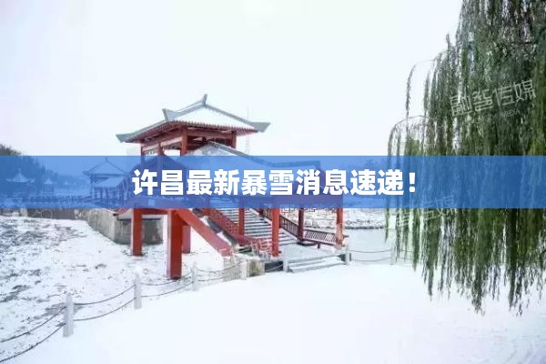 许昌最新暴雪消息速递!