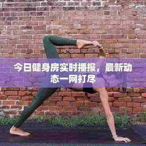 今日健身房实时播报,最新动态一网打尽
