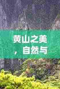 黄山之美,自然与文化交相辉映的独特魅力惊艳亮相!