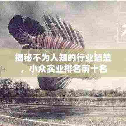 揭秘不为人知的行业翘楚,小众实业排名前十名
