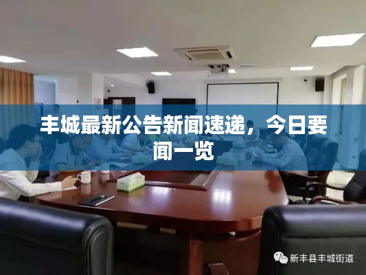 丰城最新公告新闻速递,今日要闻一览