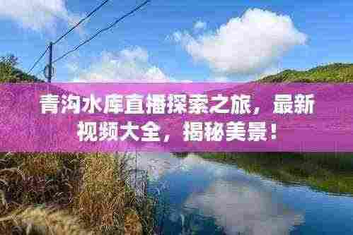 青沟水库直播探索之旅，最新视频大全，揭秘美景！