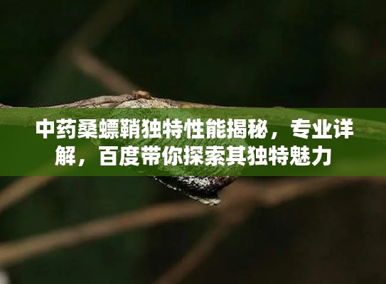 中药桑螵鞘独特性能揭秘,专业详解,百度带你探索其独特魅力