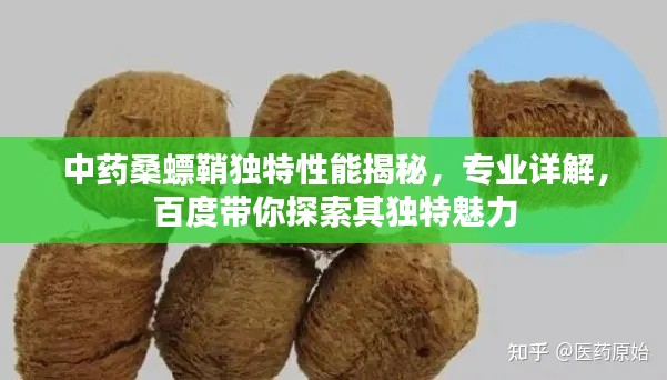 中药桑螵鞘独特性能揭秘,专业详解,百度带你探索其独特魅力