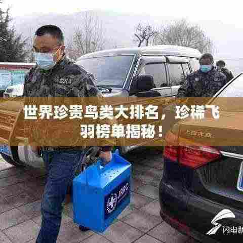 世界珍贵鸟类大排名,珍稀飞羽榜单揭秘!