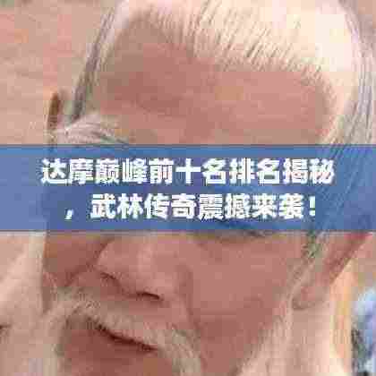 达摩巅峰前十名排名揭秘,武林传奇震撼来袭!
