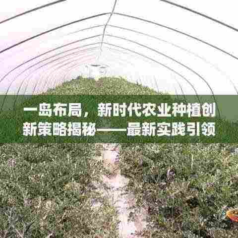 一岛布局，新时代农业种植创新策略揭秘——最新实践引领种田革命