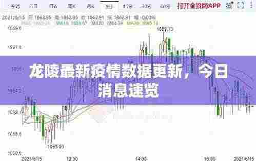 龙陵最新疫情数据更新，今日消息速览
