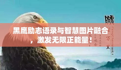 黑鹰励志语录与智慧图片融合,激发无限正能量!