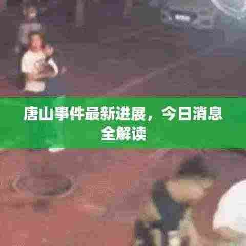 唐山事件最新进展,今日消息全解读