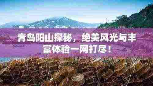 青岛阳山探秘，绝美风光与丰富体验一网打尽！