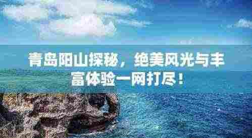 青岛阳山探秘,绝美风光与丰富体验一网打尽!