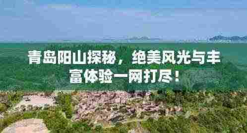 青岛阳山探秘,绝美风光与丰富体验一网打尽!