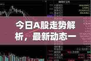 今日A股走势解析，最新动态一览无余