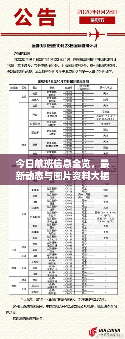 今日航班信息全览,最新动态与图片资料大揭秘