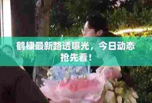 鹤棣最新路透曝光,今日动态抢先看!