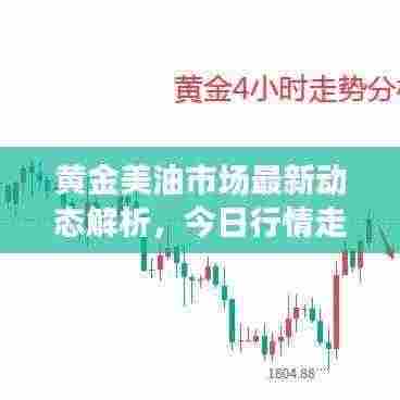 黄金美油市场最新动态解析,今日行情走势分析