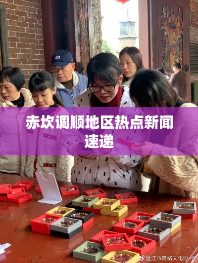 赤坎调顺地区热点新闻速递