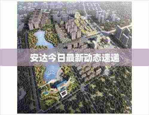 安达今日最新动态速递