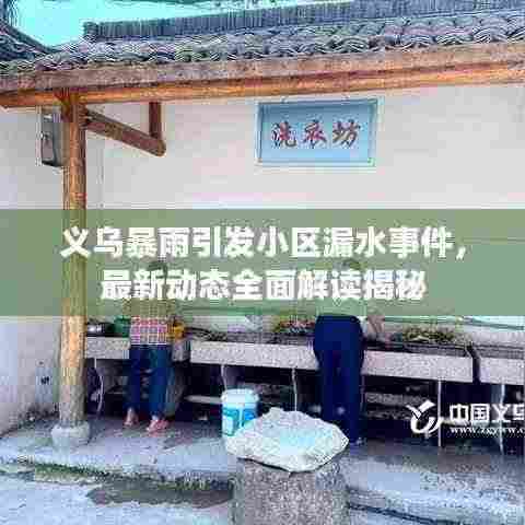 义乌暴雨引发小区漏水事件,最新动态全面解读揭秘