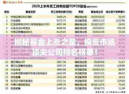 揭秘基金上涨之星,投资市场顶尖公司排名榜单!
