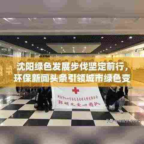 沈阳绿色发展步伐坚定前行,环保新闻头条引领城市绿色变革