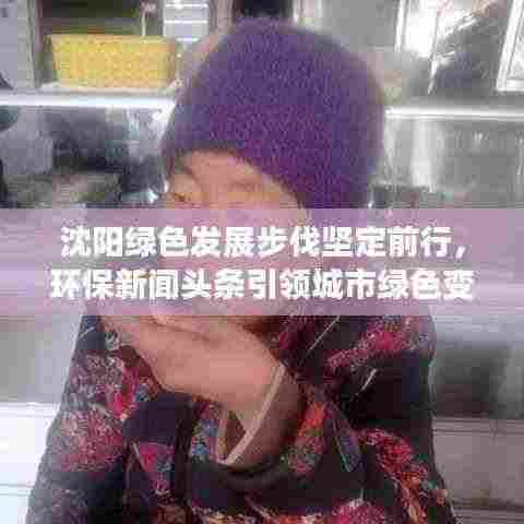 沈阳绿色发展步伐坚定前行,环保新闻头条引领城市绿色变革