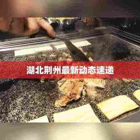 湖北荆州最新动态速递