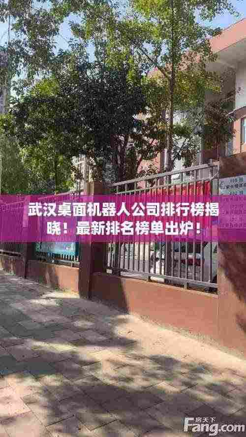 武汉桌面机器人公司排行榜揭晓!最新排名榜单出炉!