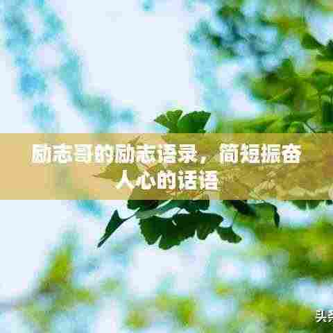 励志哥的励志语录,简短振奋人心的话语