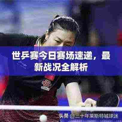 世乒赛今日赛场速递，最新战况全解析